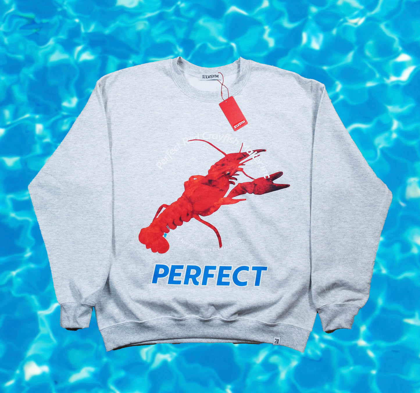 Big Crayfish Crewneck Sweat Gray